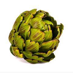 Carciofo