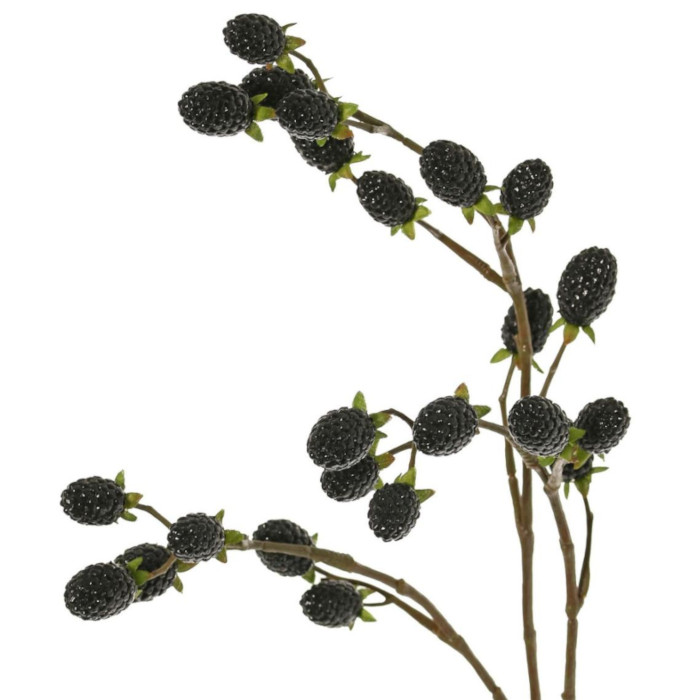 Mora