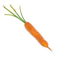 Carota