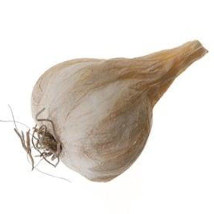 Aglio