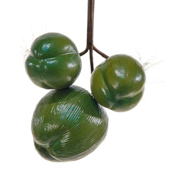 Noce di cocco