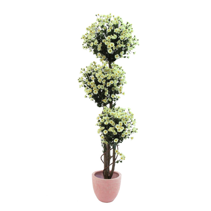 Albero di margherite
