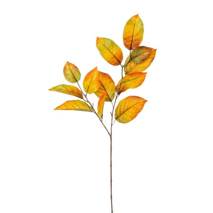 Albero di gelso