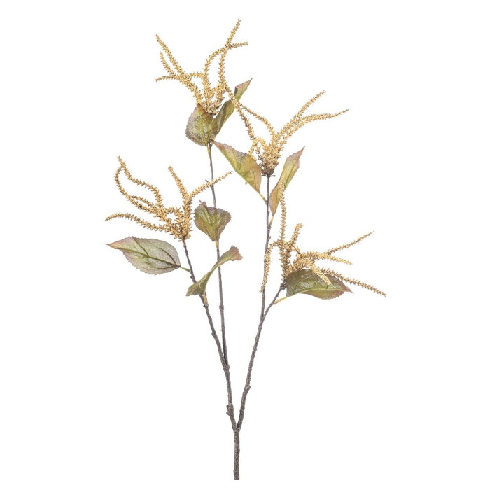 Pecan