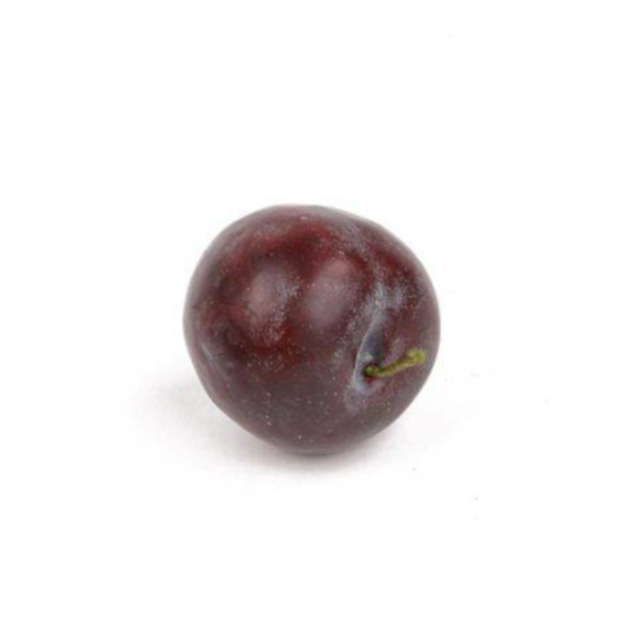 Prugna