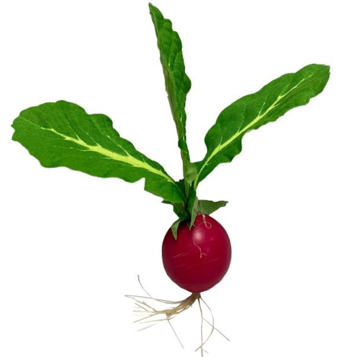 Radieschen