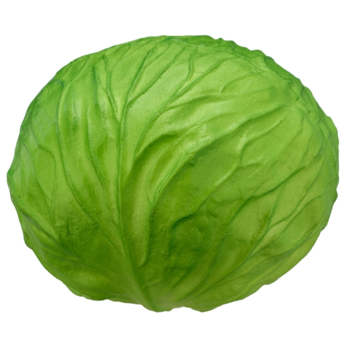 Lattuga