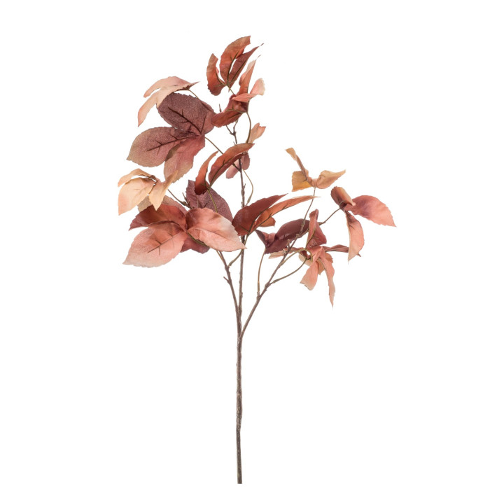 Albero dei sigari