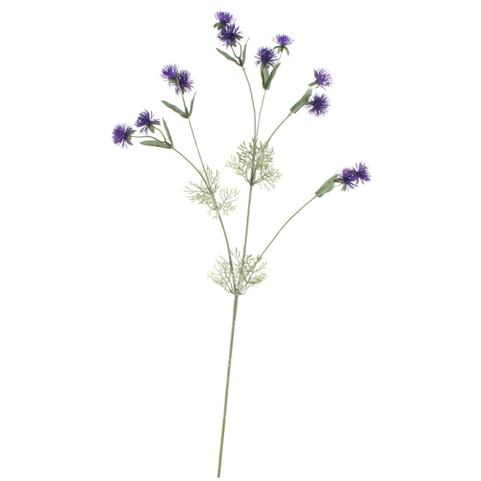 Pigamo colombino