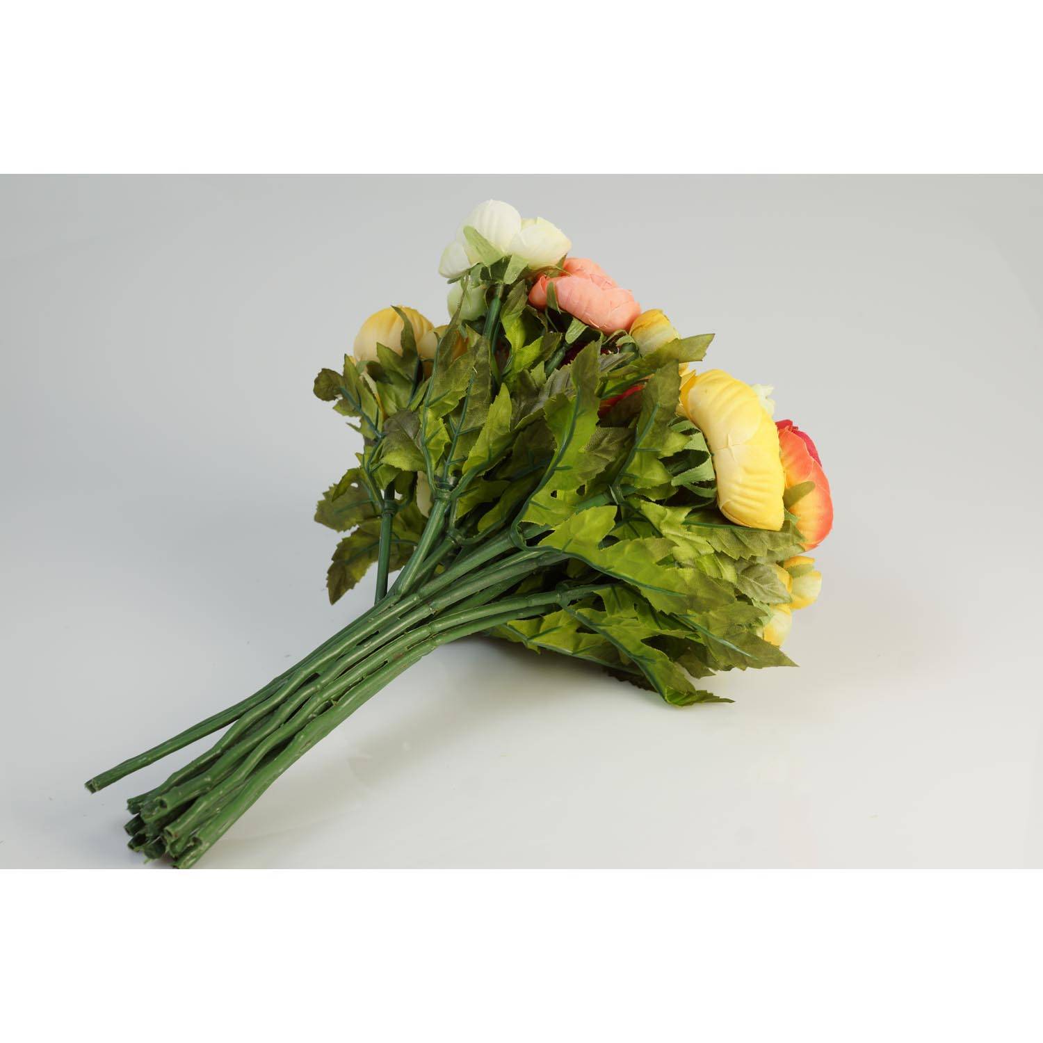 Ranunculus Bianco (ranuncolo Persiano) Immagine Stock - Immagine di