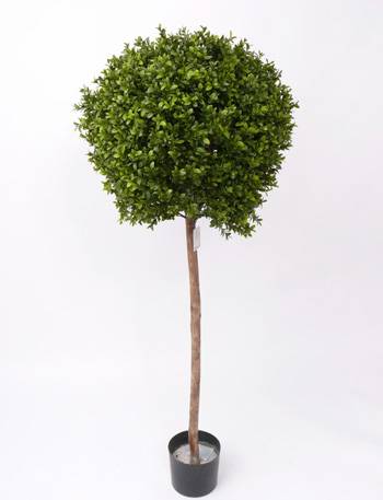Pianta di bosso artificiale TOM,tronco naturale,verde,115cmØ100cm - Alberi  artificiali