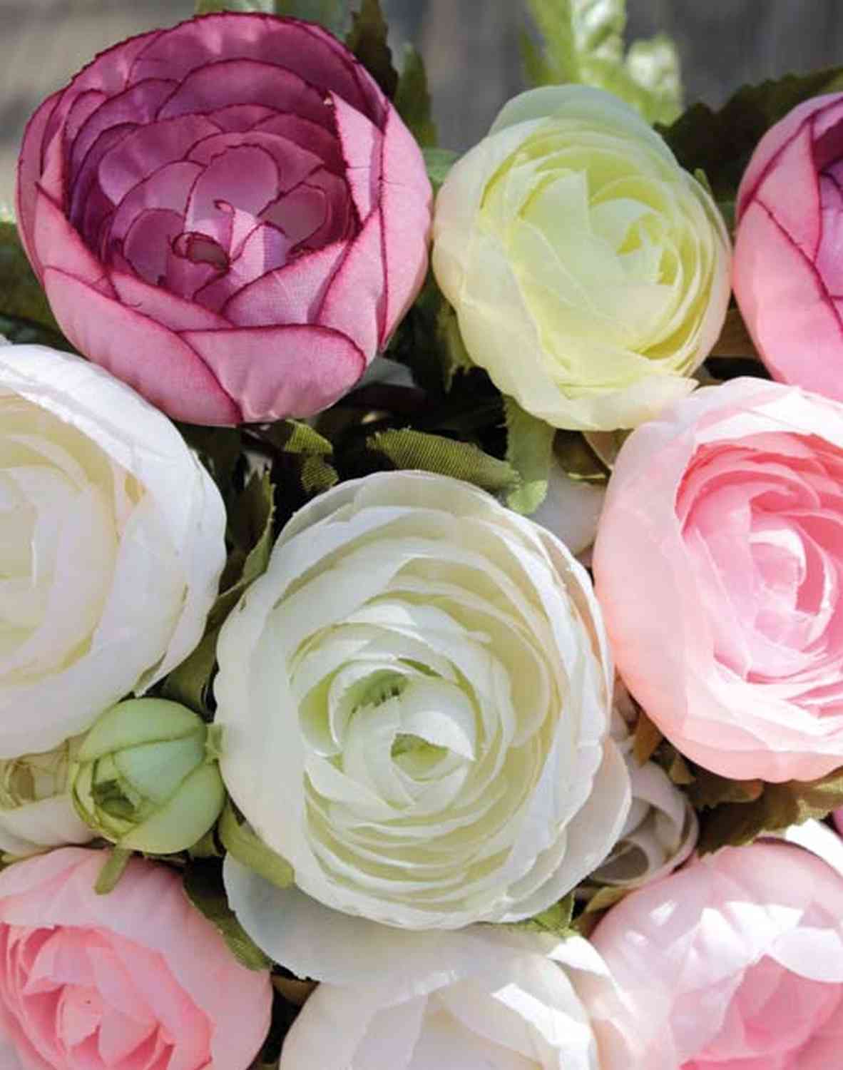 Asiaticus Del Ranunculus O Ranuncolo Persiano Mazzo Di Fiore Rosa Pastello Fondo Grigio Chiaro Vaso Vetro Wallpaper Image130632285