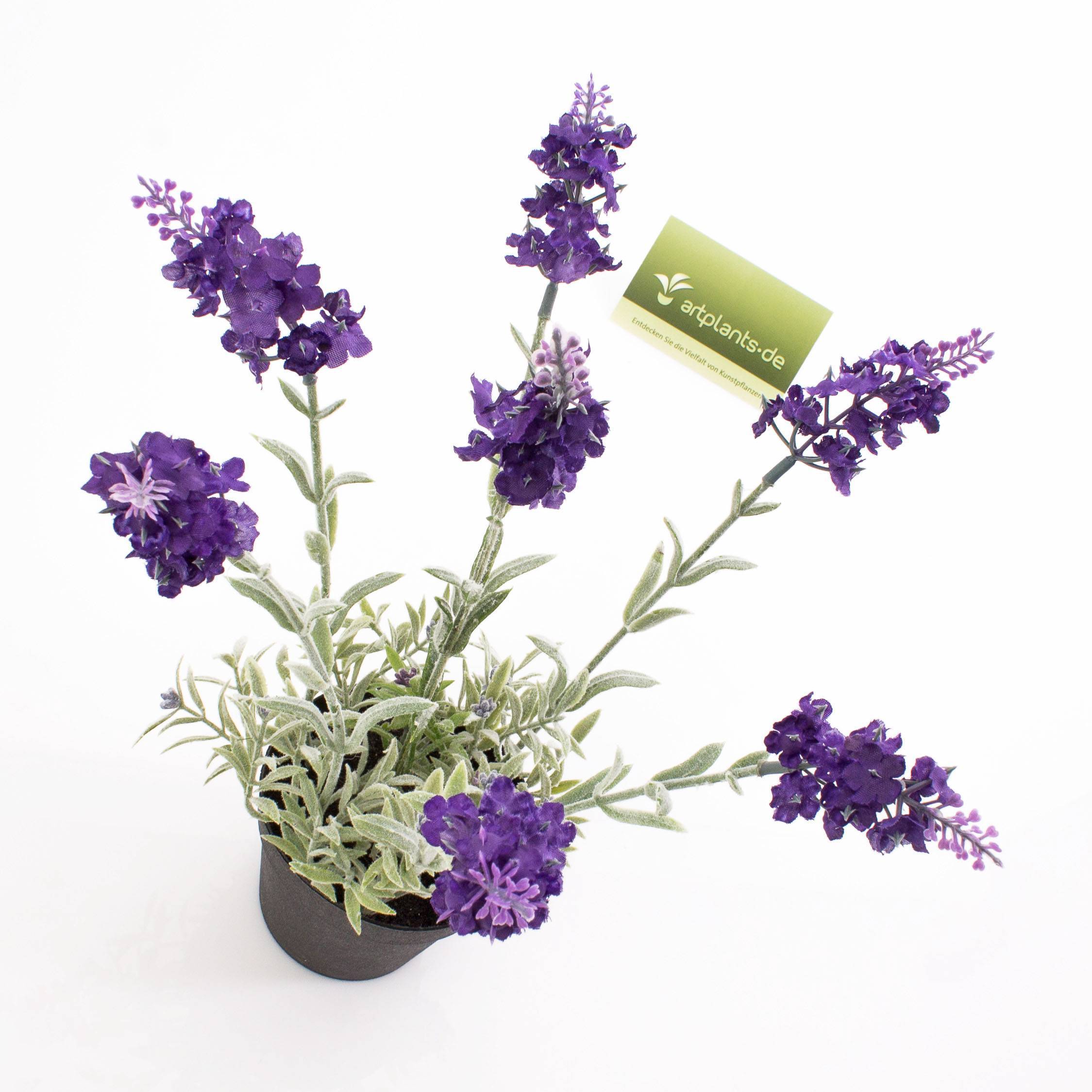 Lavanda finta LOUISE in vaso decorativo, viola chiaro, 30cm, Ø3cm - Fiori  artificiali