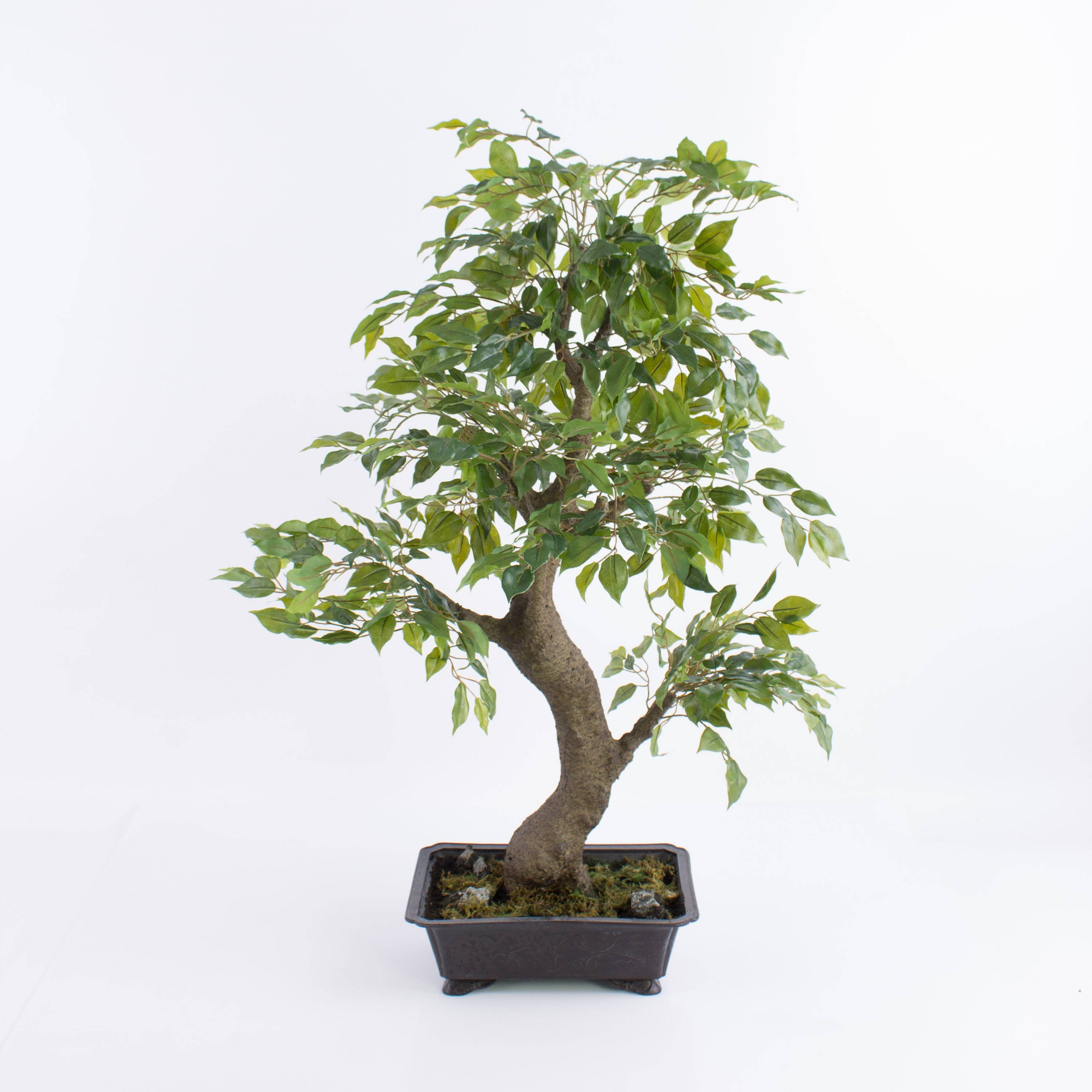 Bonsai artificiale al miglior prezzo | Leroy Merlin