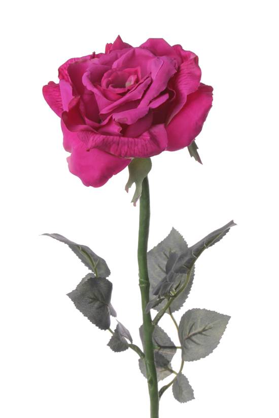 Rosa bianca su stelo Fiore di seta Rosa artificiale 3 pezzi