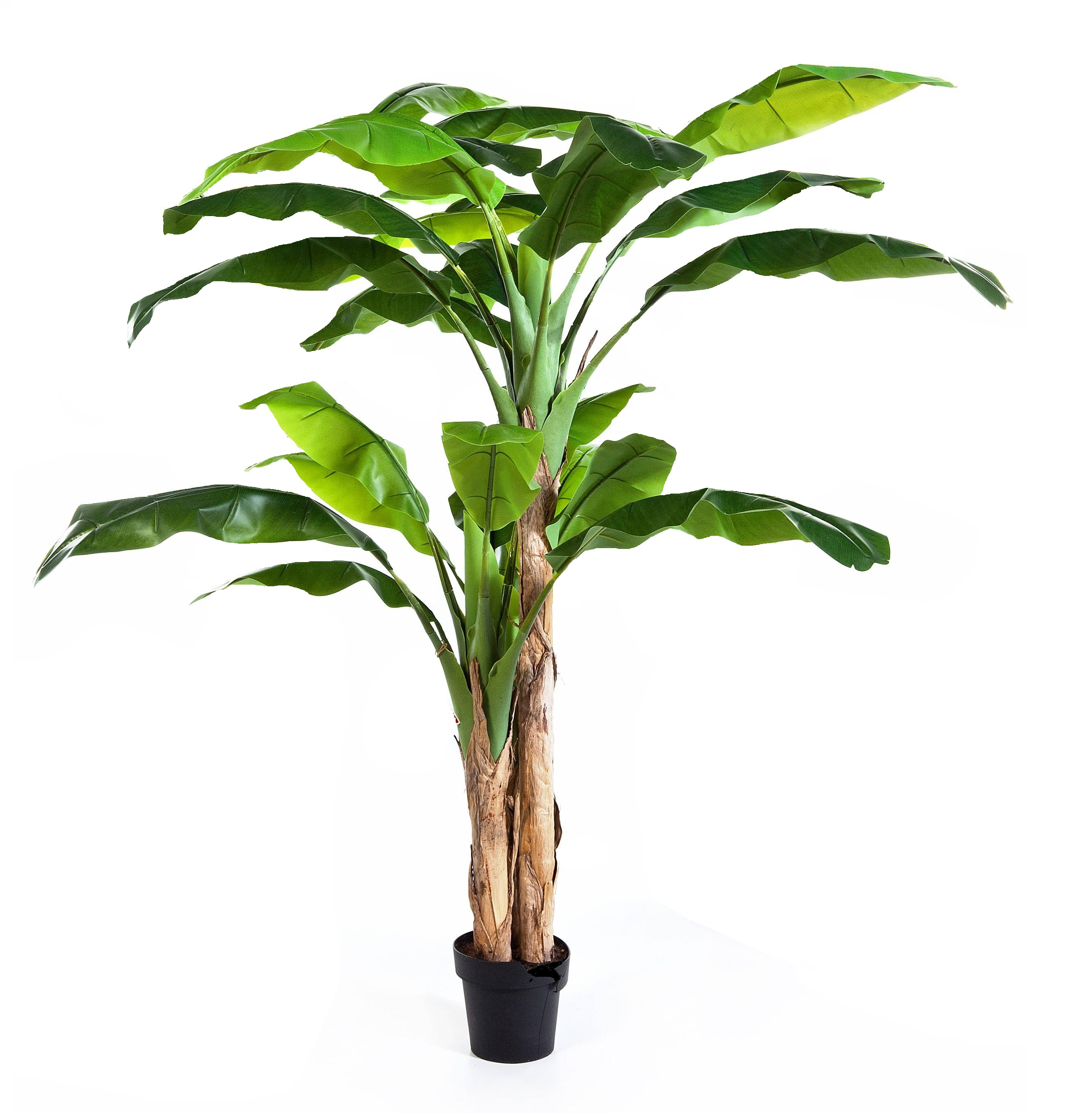 Albero di banano artificiale AMARU, 240cm - Palme artificiali