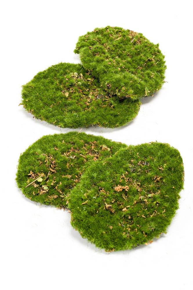 Pezzi di muschio artificiale per decorare HEFEI, 4 pezzi, verde