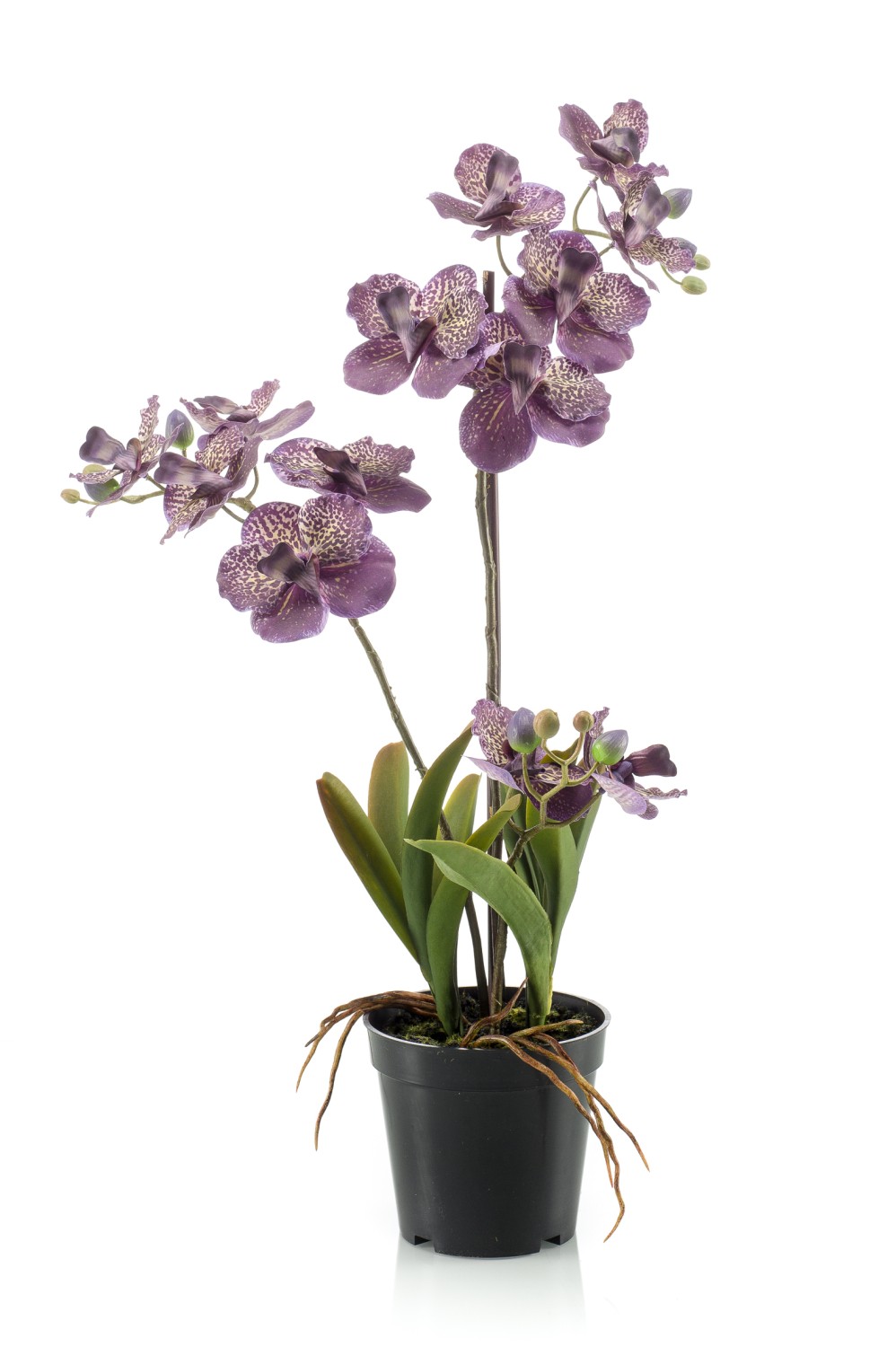 Runa Art Quadro Murale Tela Non Tessuta 5 Pezzi – Orchidee Viola Astratte Per Camera Da Letto O Corridoio (203653a)