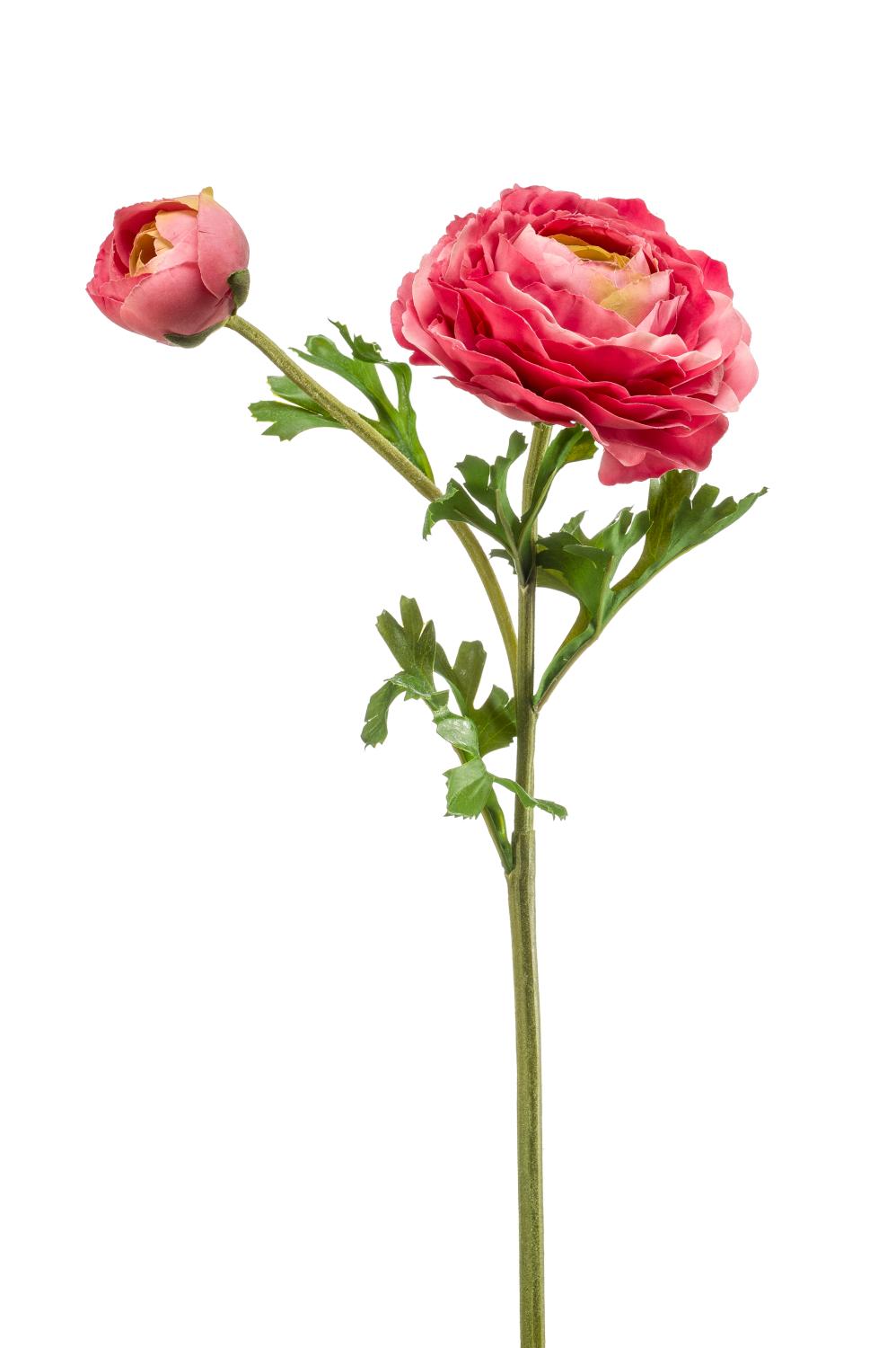 Bocciolo di fiore di ranuncolo, artificiale, dimensioni: 6 cm