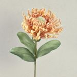 Fiore artificiale cuscino per spilli Protea in schiuma plastica ISLARTINA, crema-albicocca, 75cm