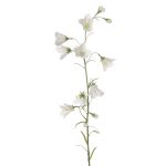 Campanula artificiale GISELA, bianco, 65cm, Ø5cm