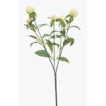 Ramo artificiale amaranto sferico DREWON, crema, 65 cm