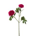 Ramo decorativo ranuncolo FLORANCE, rosa scuro, 45 cm