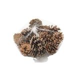 Decorazioni pigne UMBRIELLE, naturali, 15 pezzi