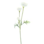 Ramo decorativo ranuncolo TRITO, crema, 35cm