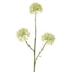 Ramo decorativo Allium ALIKIO, bianco, 65 cm, Ø 6,5 cm
