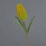 Fiore artificiale Banksia robur EREDIN, giallo, 70 cm