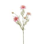 Ramo decorativo di cumino nero JENNIE, rosa, 70 cm