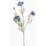 Ramo decorativo di cumino nero JENNIE, blu, 70 cm