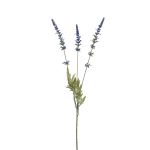 Fiore artificiale lavanda TORNE, blu, 65 cm