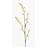 Fiore artificiale Montbretia KATHERYN, crema, 90 cm