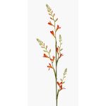 Fiore artificiale Montbretia KATHERYN, arancione-rosso, 90 cm