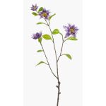 Ramo decorativo clematide RUHNA, lilla, 75 cm