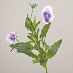 Viola del pensiero artificiale SILANA, bianco-viola, 30cm