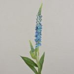 Fiore artificiale di veronica LORETA, blu chiaro, 75cm