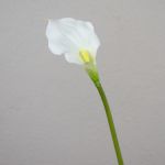 Calla sintetica PEPITA, bianco, 55cm, 7x11cm