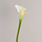 Calla sintetica SUSANA, bianco, 70cm, 8x12cm