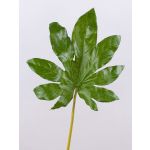Foglia artificiale di aralia SALVATORE, verde, 70cm