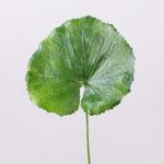 Foglia di geranio artificiale HEIDEGARD, verde, 38cm, Ø13cm
