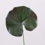 Foglia di geranio artificiale HEIDEGARD, verde-rosso, 38cm, Ø11cm