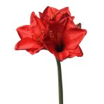 Amaryllis artificiale BENITA, rosso, 55cm, Ø10cm