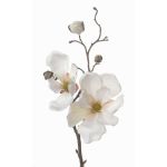 Ramo di magnolia artificiale MALBINE, crema, 50cm, Ø6-10cm