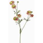 Ranuncolo artificiale YARIS, verde-fucsia, 65cm, Ø3-4,5cm