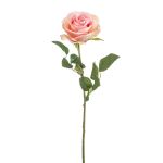 Rosa artificiale BRUNETTE, rosa-crema, 70cm, Ø11cm