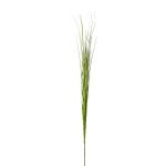 Ramo decorativo giunco di palude VORLO, verde, 85 cm