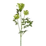 Ramo artificiale Carota selvatica TOLHER, verde, 85cm